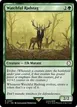 Watchful Radstag #87