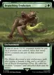 Branching Evolution #996