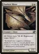 Poultice Sliver #11