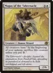 Magus of the Tabernacle #8