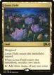 Lotus Field #249