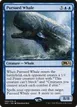 Pursued Whale #60