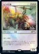Serra Angel #3