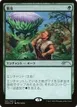 Wild Growth #2022-2