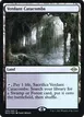 Verdant Catacombs #260