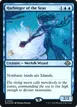 Harbinger of the Seas #63