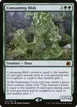 Consuming Blob #177