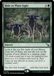 Hide in Plain Sight #166