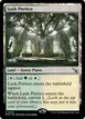 Lush Portico #263