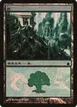 Forest #306