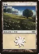 Plains #1