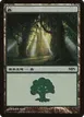 Forest #5