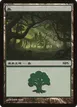 Forest #5