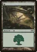 Forest #5