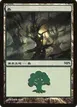 Forest #5