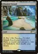 Flooded Strand #2018