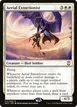 Aerial Extortionist #11