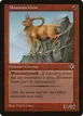 Mountain Goat #141
