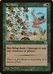 Bee Sting #159