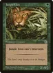 Jungle Lion #171
