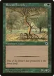 Rowan Treefolk #184