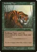 Stalking Tiger #186