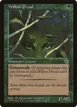 Willow Dryad #193