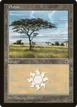 Plains #198