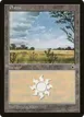 Plains #199