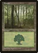 Forest #213