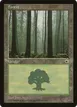 Forest #214
