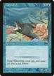 Coral Eel #49