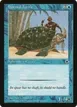 Horned Turtle #57