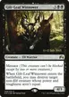 Gilt-Leaf Winnower #99