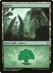 Forest #B08