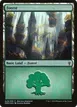 Forest #A09
