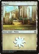 Plains #A10