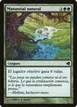 Natural Spring #150