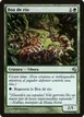 River Boa #156