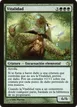 Vigor #164