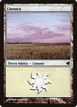 Plains #205