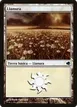 Plains #208