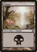 Swamp #213
