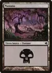 Swamp #214
