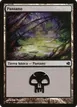 Swamp #215