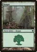 Forest #221