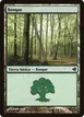 Forest #222