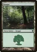 Forest #223