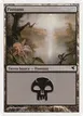 Swamp #A24