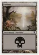 Swamp #A9